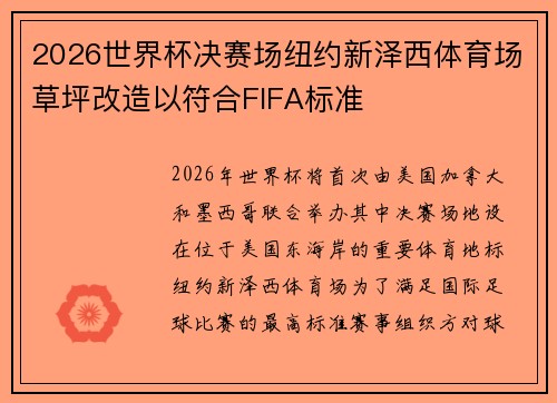 2026世界杯决赛场纽约新泽西体育场草坪改造以符合FIFA标准